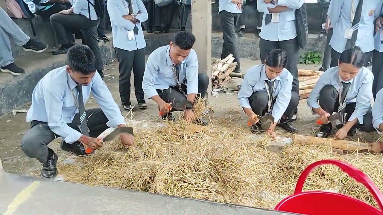 Mushroom 🍄 students 😅