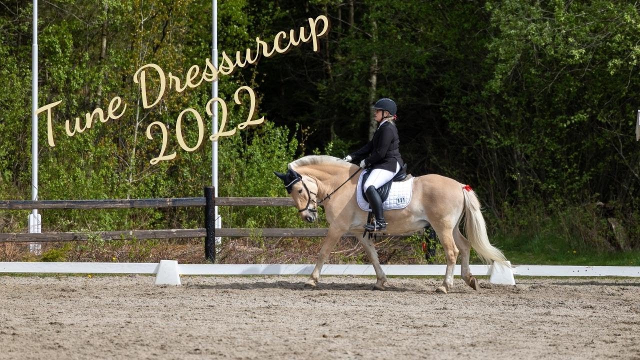 LC3 - Tune DressurCup 14.05.2022