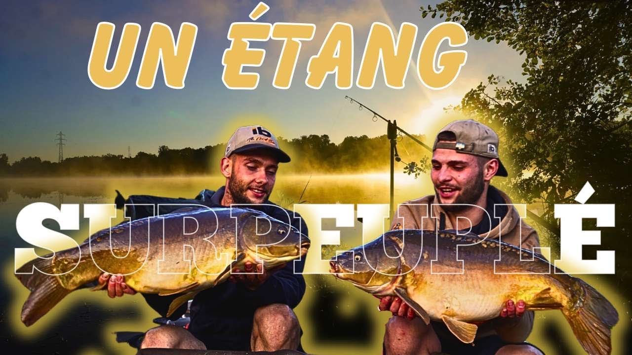 COMMENT enchaîner LES CARPES ?! 78 POISSONS/85 DÉPARTS , sessions de malade 🍀