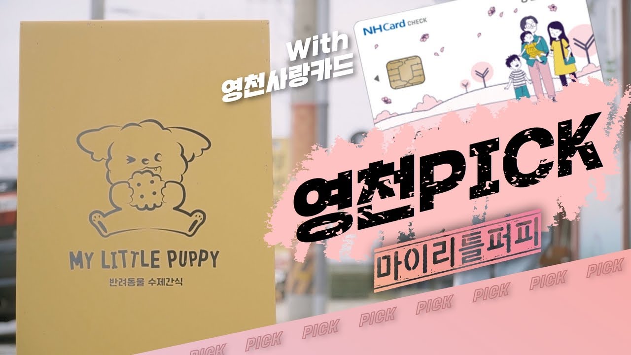 [영천PICK] 왈왈! 영천에 내 수제 간식이!?🐶🐾