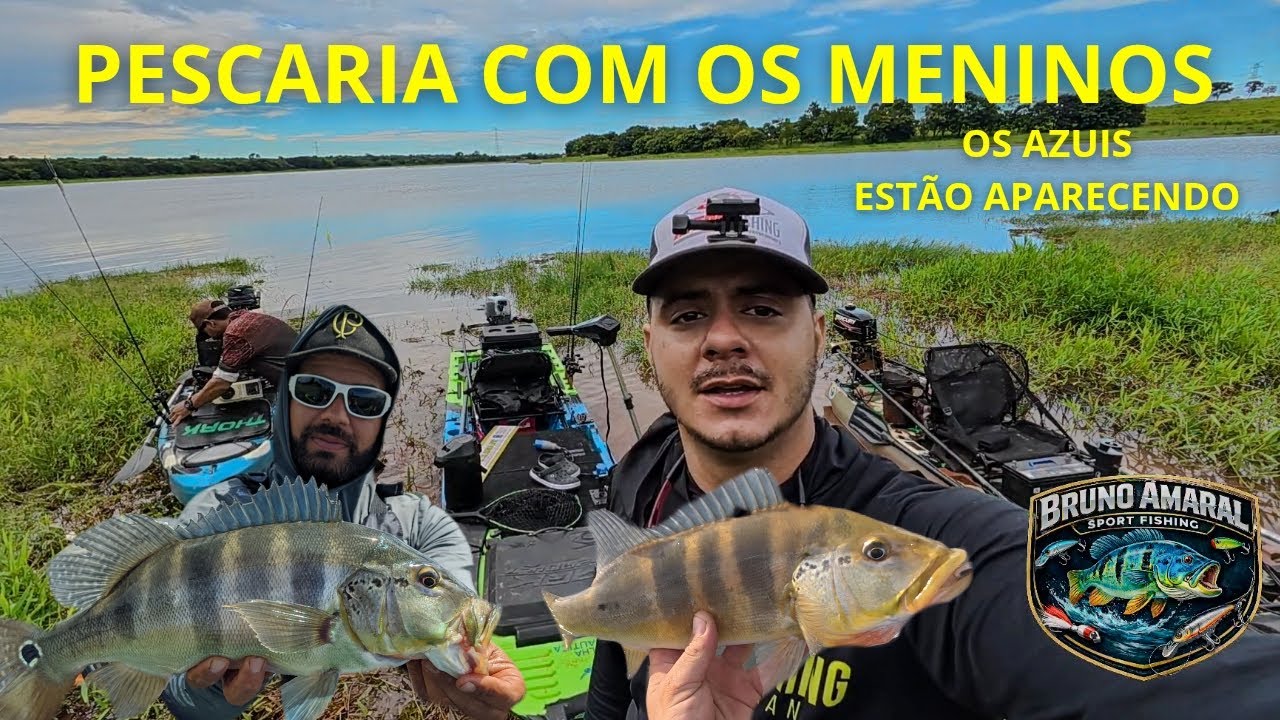 OS TUCUNARÉ AZUL ESTÃO APARECENDO 