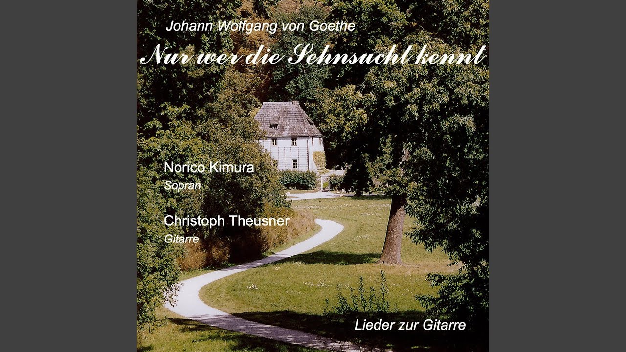 Echo's, Gitarrensolo