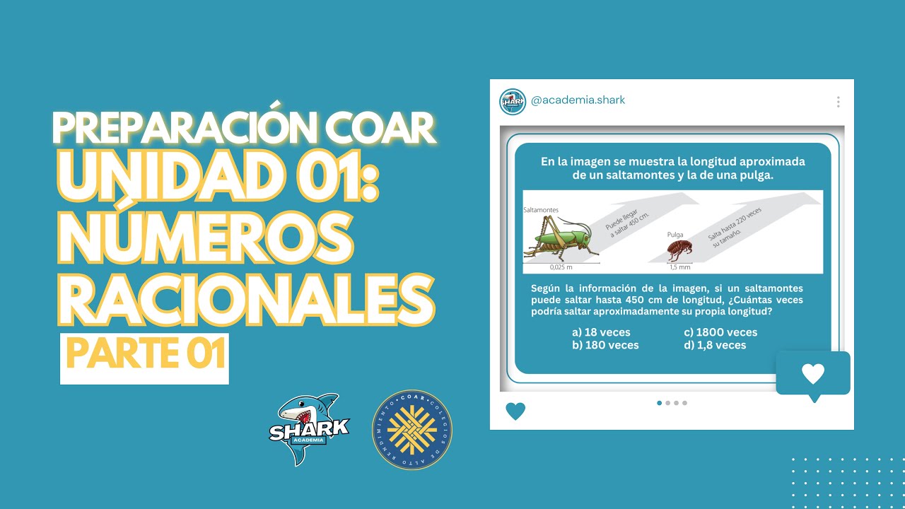 UNIDAD 01: NÚMEROS RACIONALES (Parte 01)