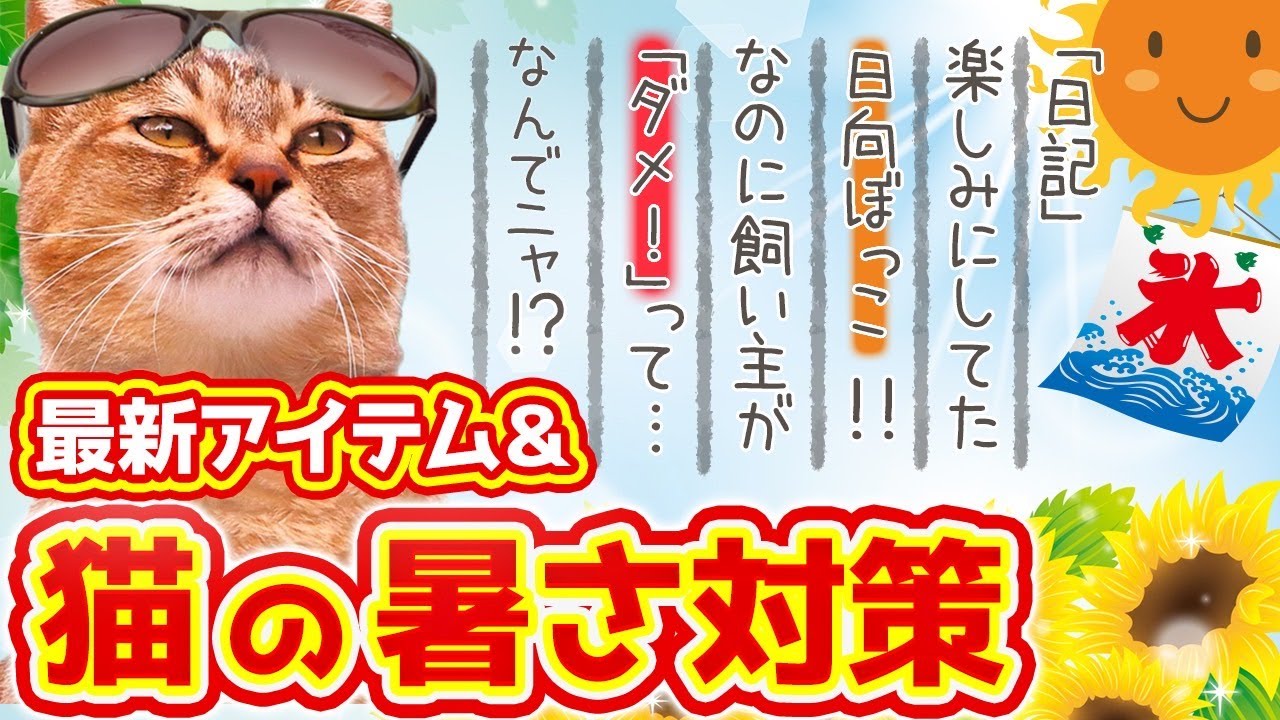 【暑い夏が楽しくなる！】最新暑さ対策グッズや春夏の過ごし方をご紹介！猫の熱中症対策やノミダニ予防も本格的に始めてほしい時期！