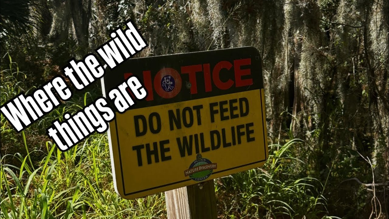 Where the Wild Things Are | Exploring Circle B Bar Reserve in Florida