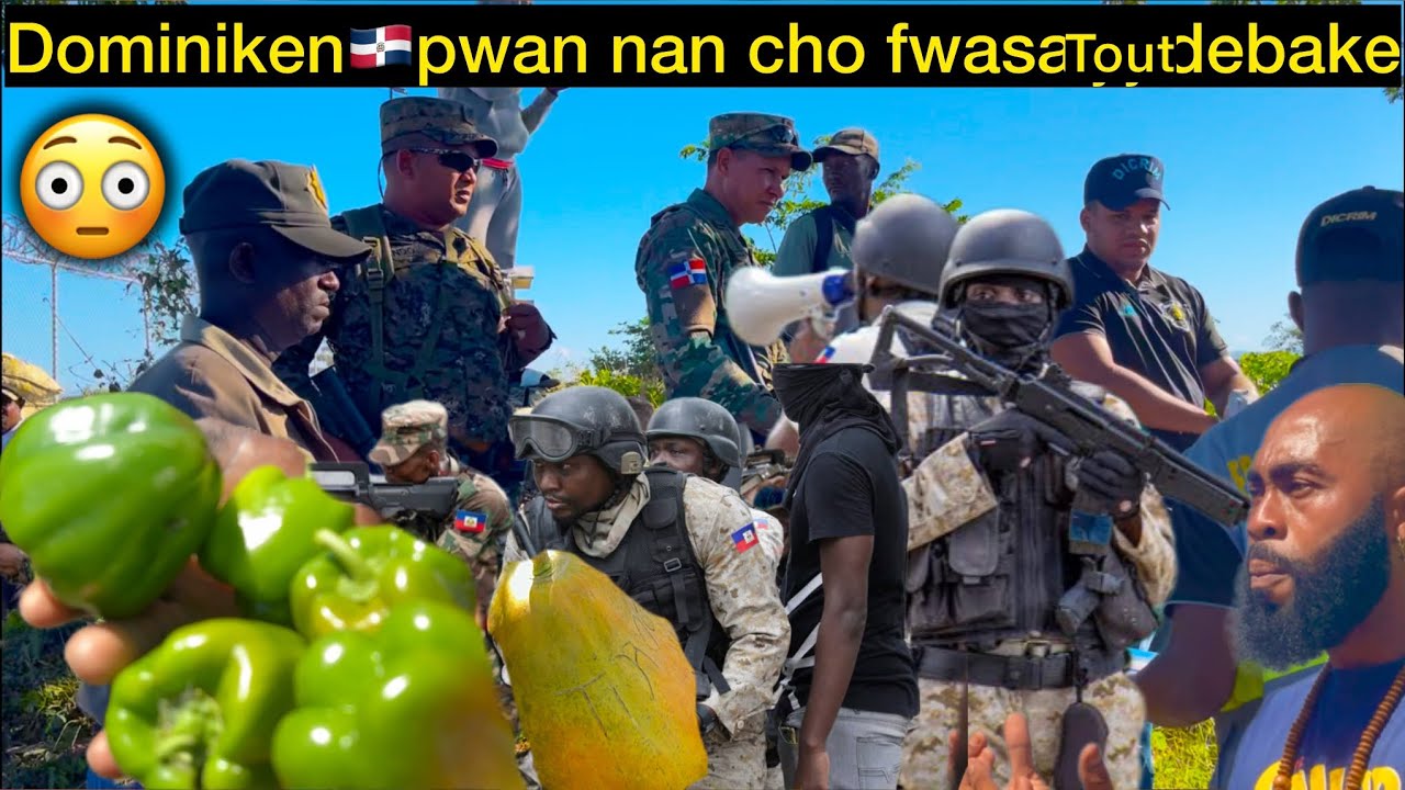 😱WOYY📢‼️ REPIBLIK DOMINIKEN PRAN KOU 😱😱AYISYEN 🇭🇹DI YO PAP ACHTE MANJE NAN MEN YO ANKÒ 