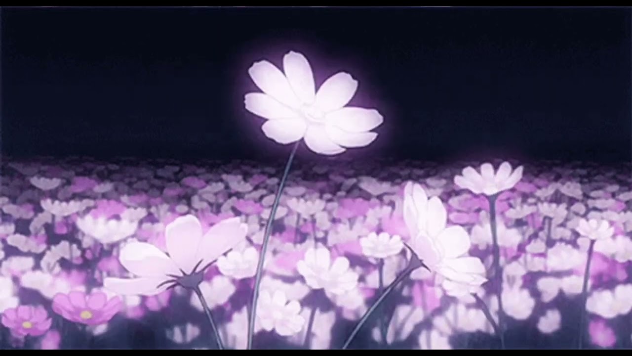 The Maria’s - No One Noticed (Unreleased)