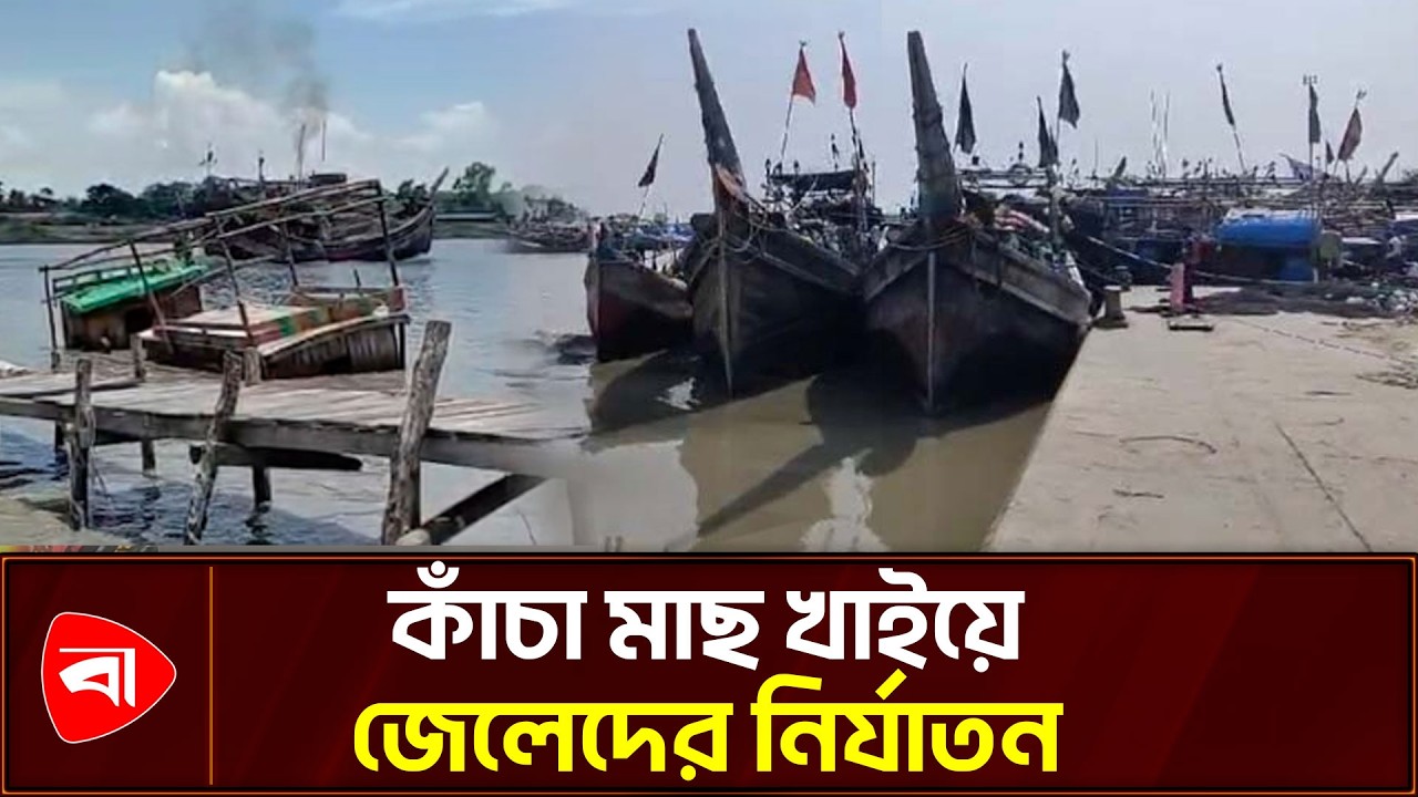 নৌ পুলিশের বিরুদ্ধে চাঁ/দা আদায়, নির্যা/তনের অভিযোগ | Payra Port | Navy | Protidiner Bangladesh