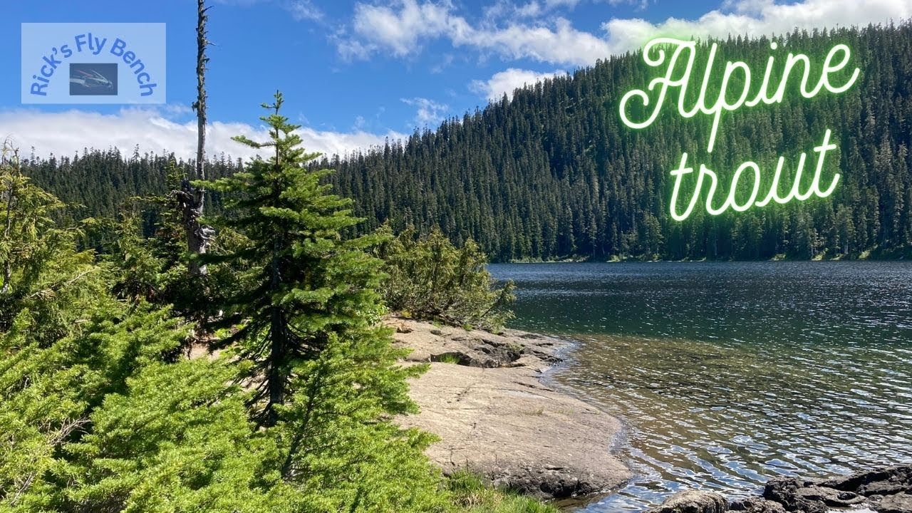 Fly fishing the alpine region of Strathcona park, Vancouver Island.