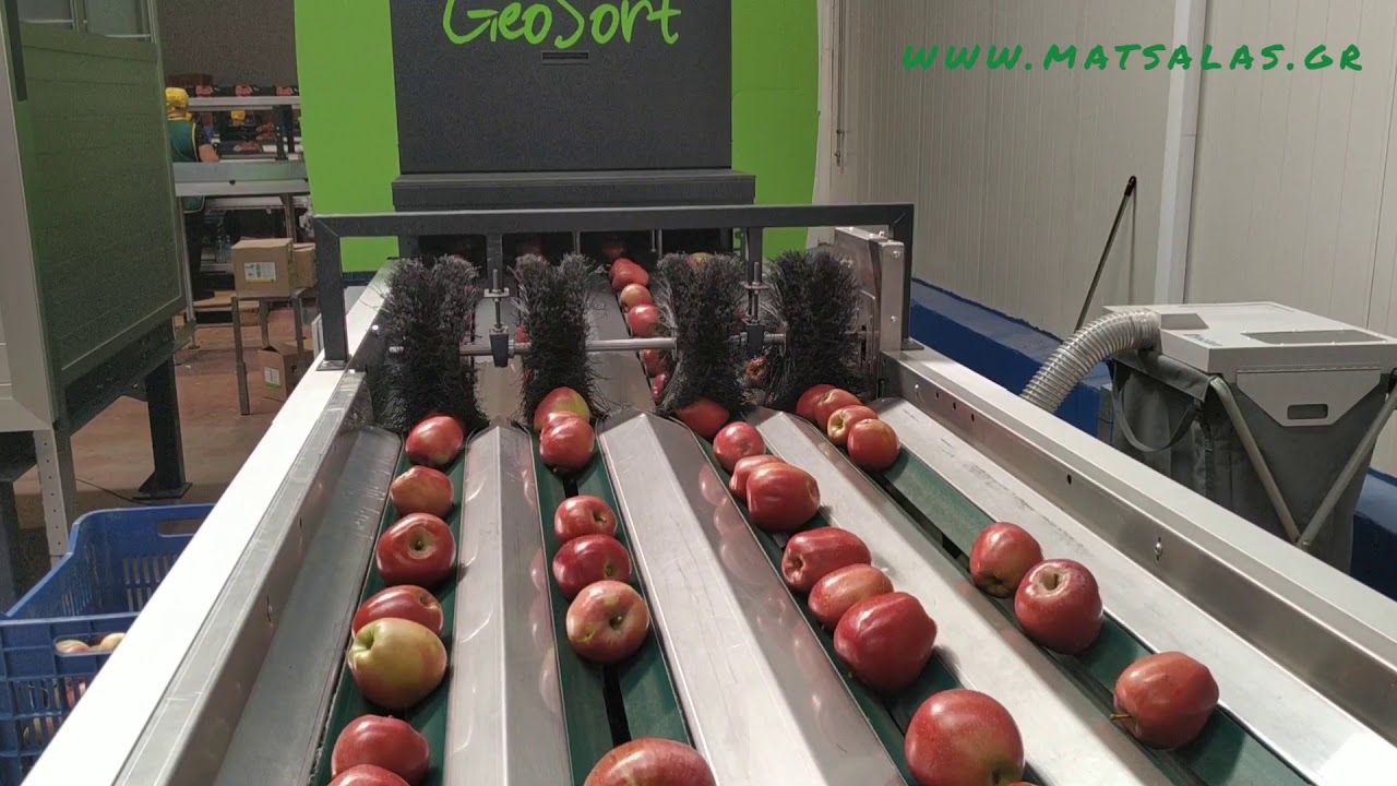 Γραμμή συσκευασίας μήλων - Apples packaging line - GeoSort Greefa