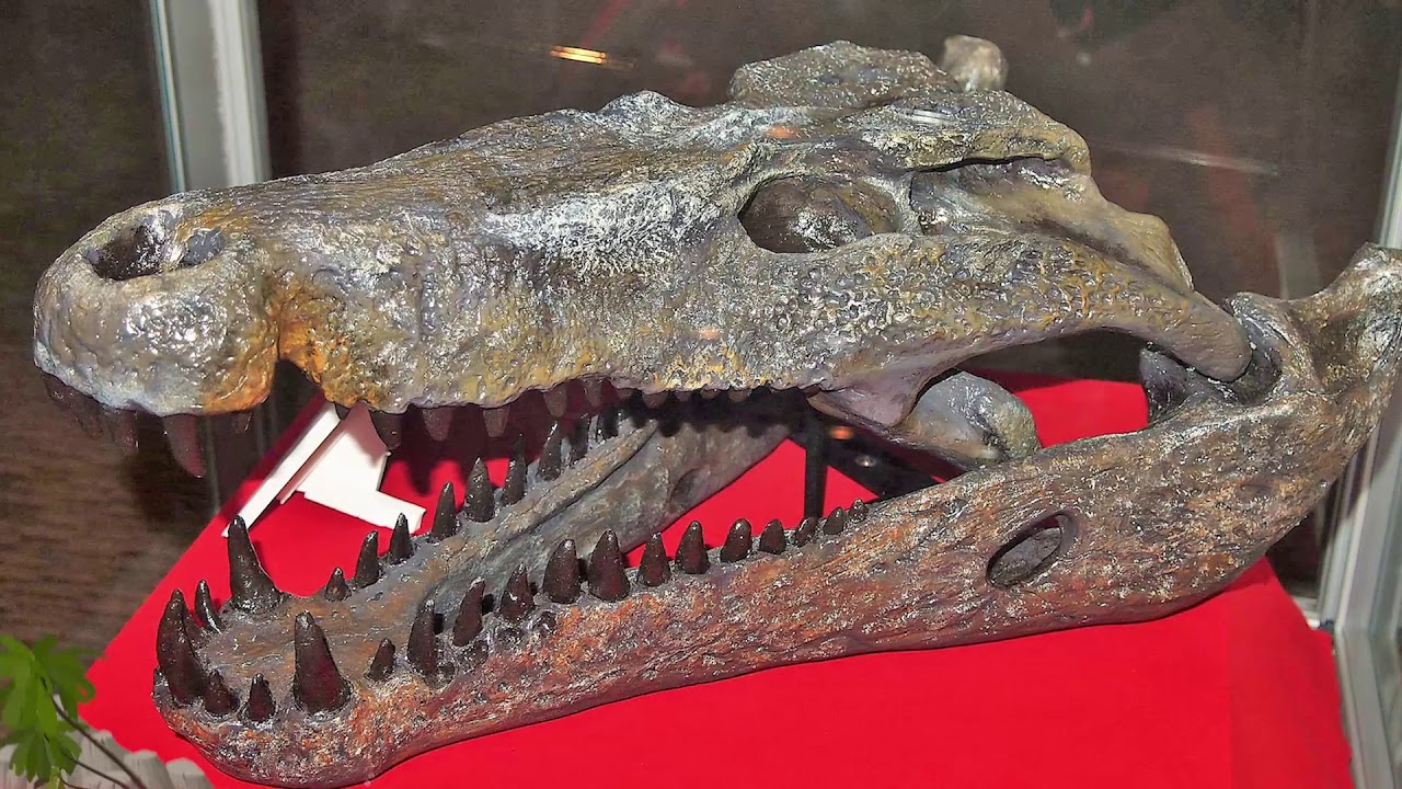 Mega-Beasts That Ruled Prehistoric Australia