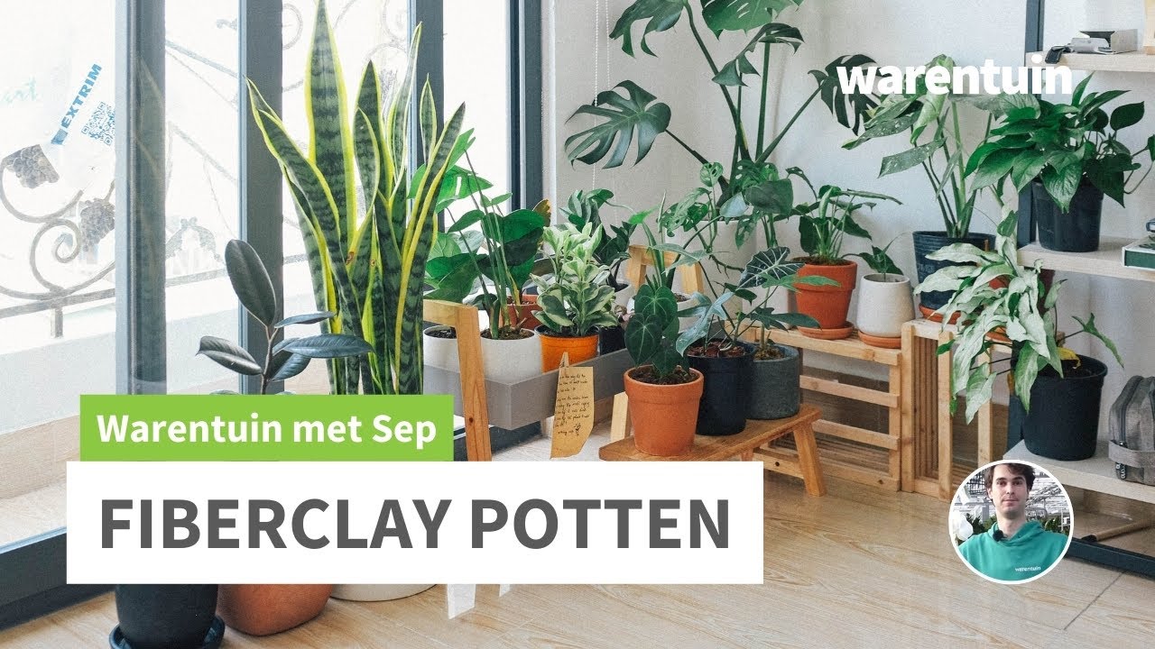 Alles over Fiberclay potten