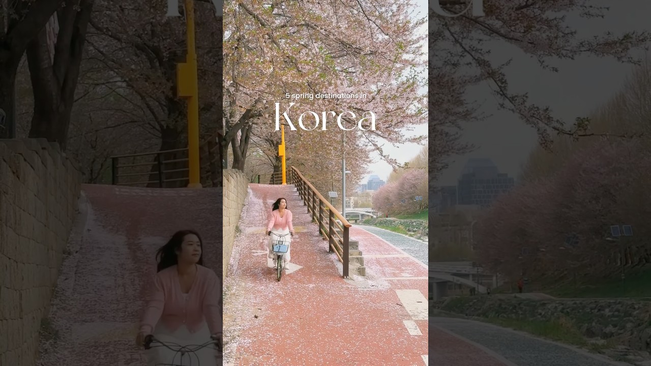 5 spring destinations in korea🌸 #korea#spring#travelvlog