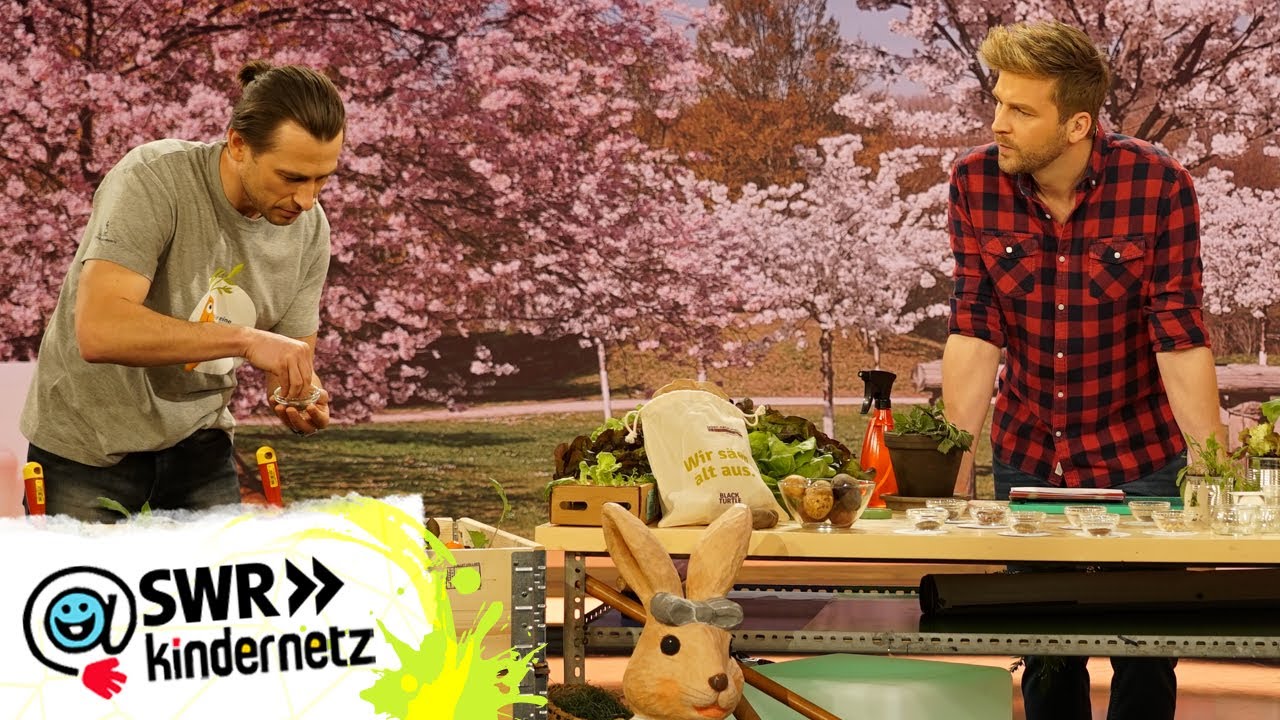 Von Ostereiern und leckerem Frühlingsgemüse | Tigerenten Club