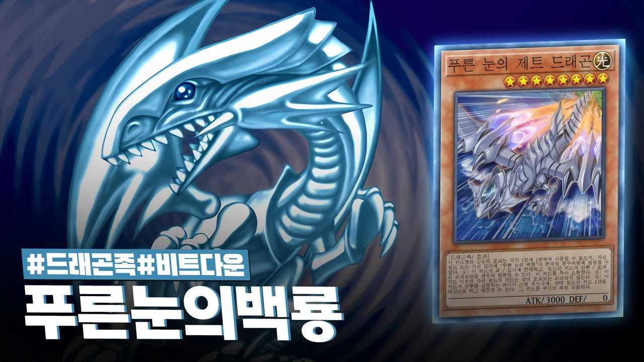카이바 세토를 상징하는 초근본 일러스트의 귀환 #푸른눈의백룡 덱 - 유희왕 플레이 영상