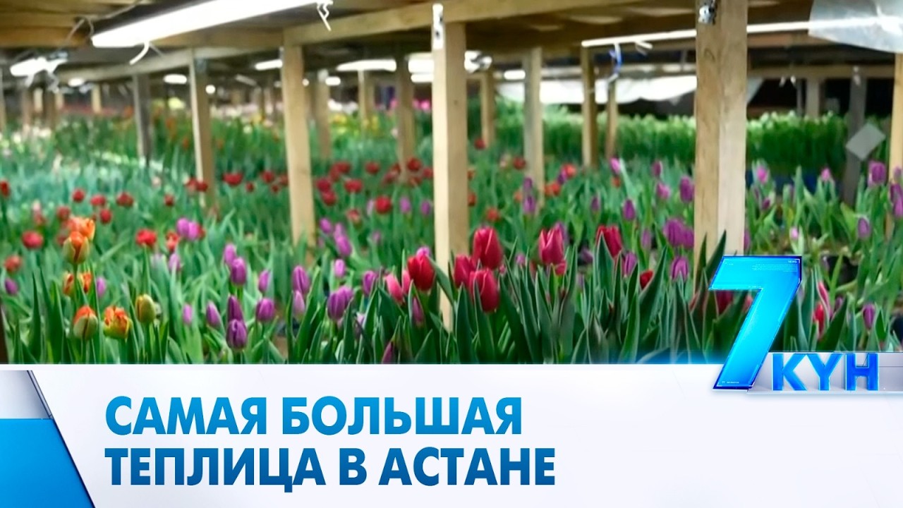 Самая большая теплица в Астане