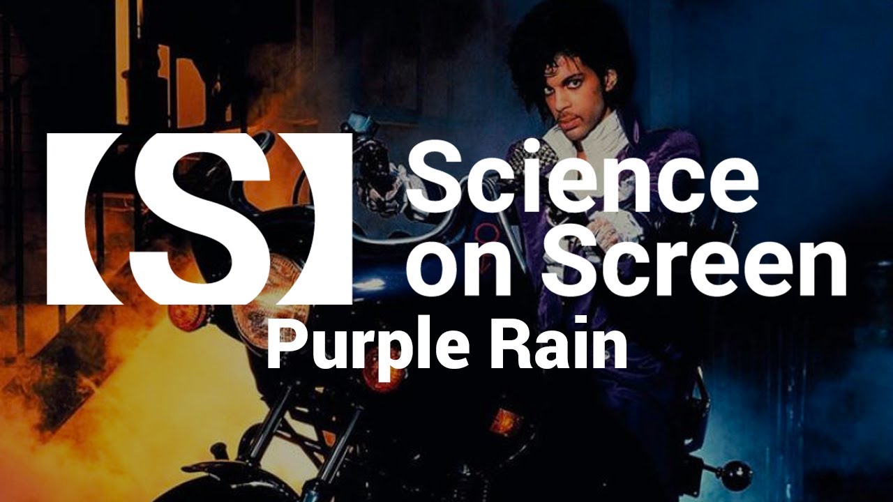 This is what it sounds like: Prince and our perception of music | PURPLE RAIN
