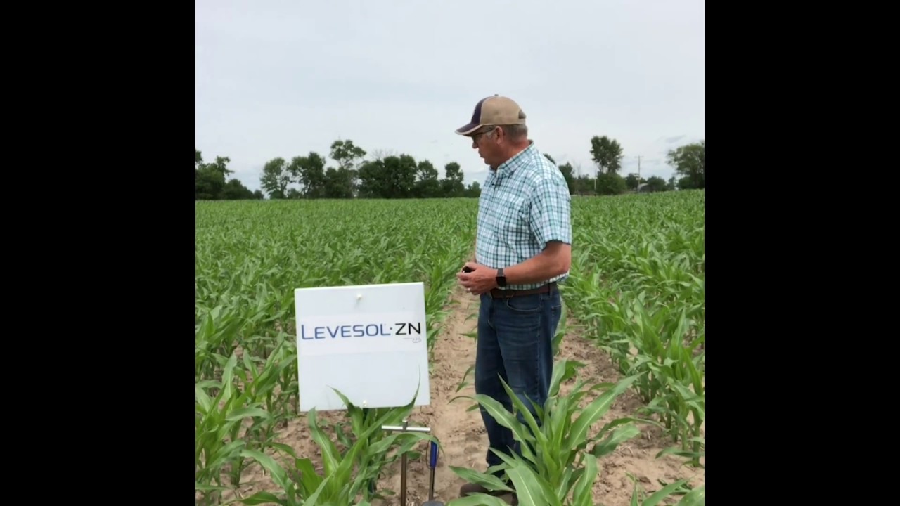 Understanding the Value of Liquid In-Furrow Starter Fertilizers