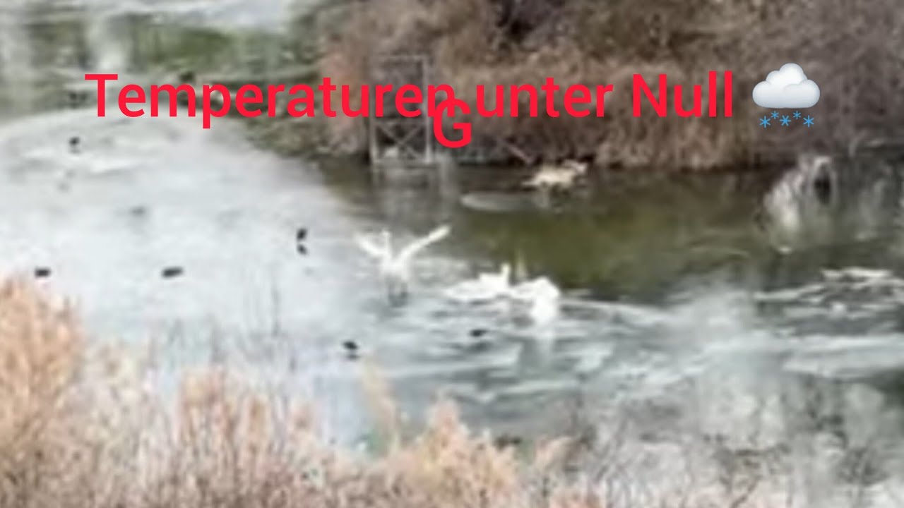 Familien(98) Vlog Europa 🇦🇹  🌨️ Spazierengehen bei Sieben Grad unter Null 💓🇦🇹💓6.1.2026 🌨️🌨️
