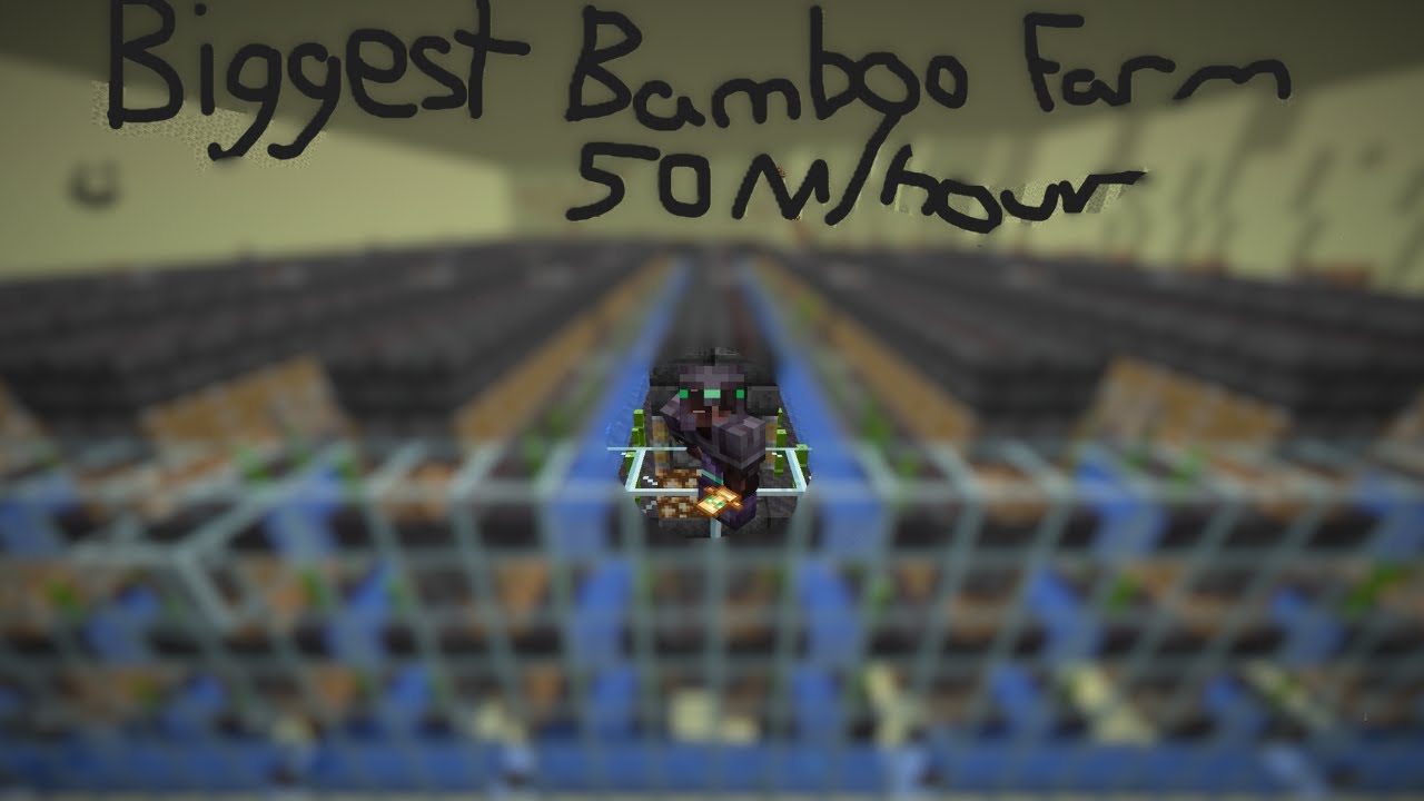 How I Built The Biggest Bamboo Farm On Donut Smp (INSANE) (50M/HOUR)