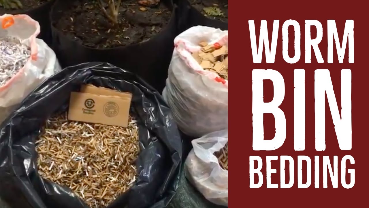 Recommended Bedding For A Composting Worm Bin
