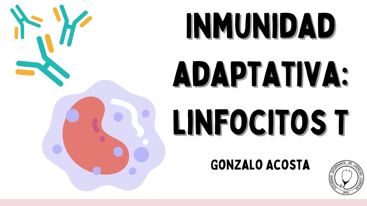 INMUNIDAD ADAPTATIVA: Linfocitos T | Inmunología