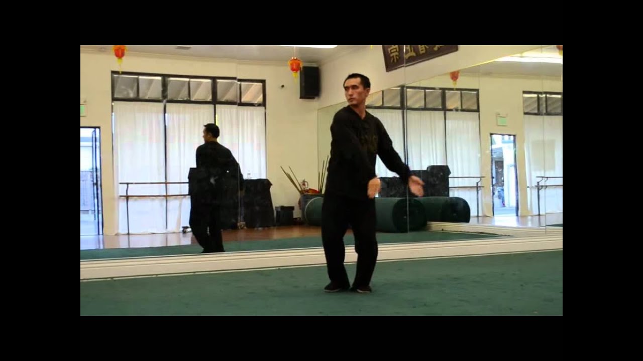 Taiji Chen Style 56 forms