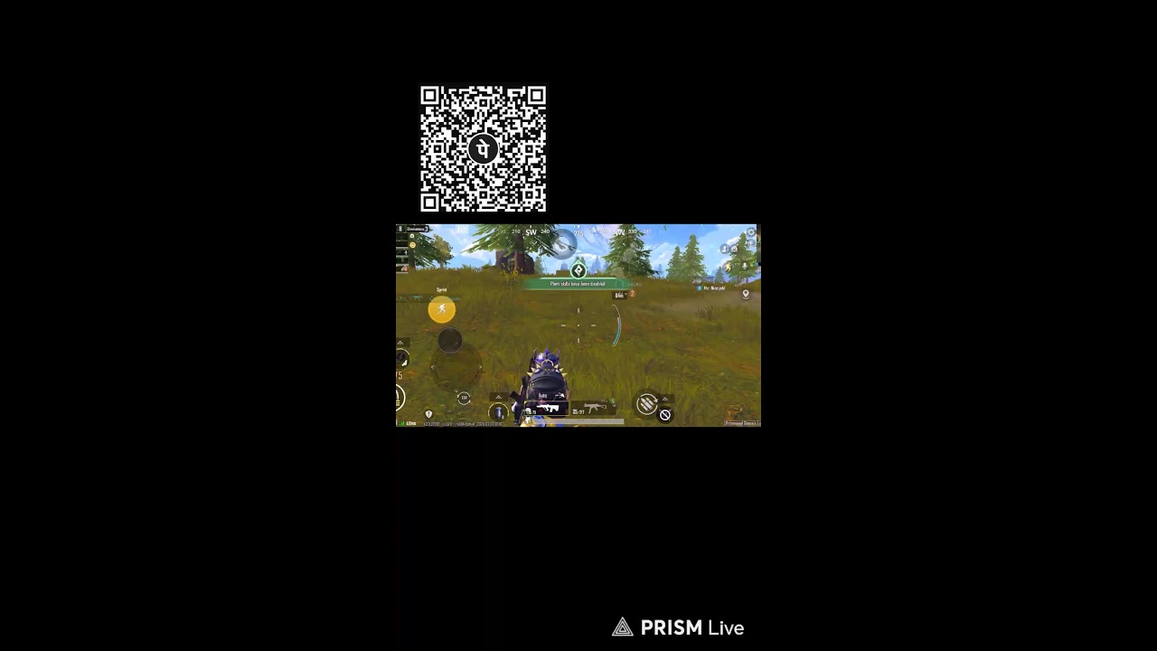 let's play BGMI ........