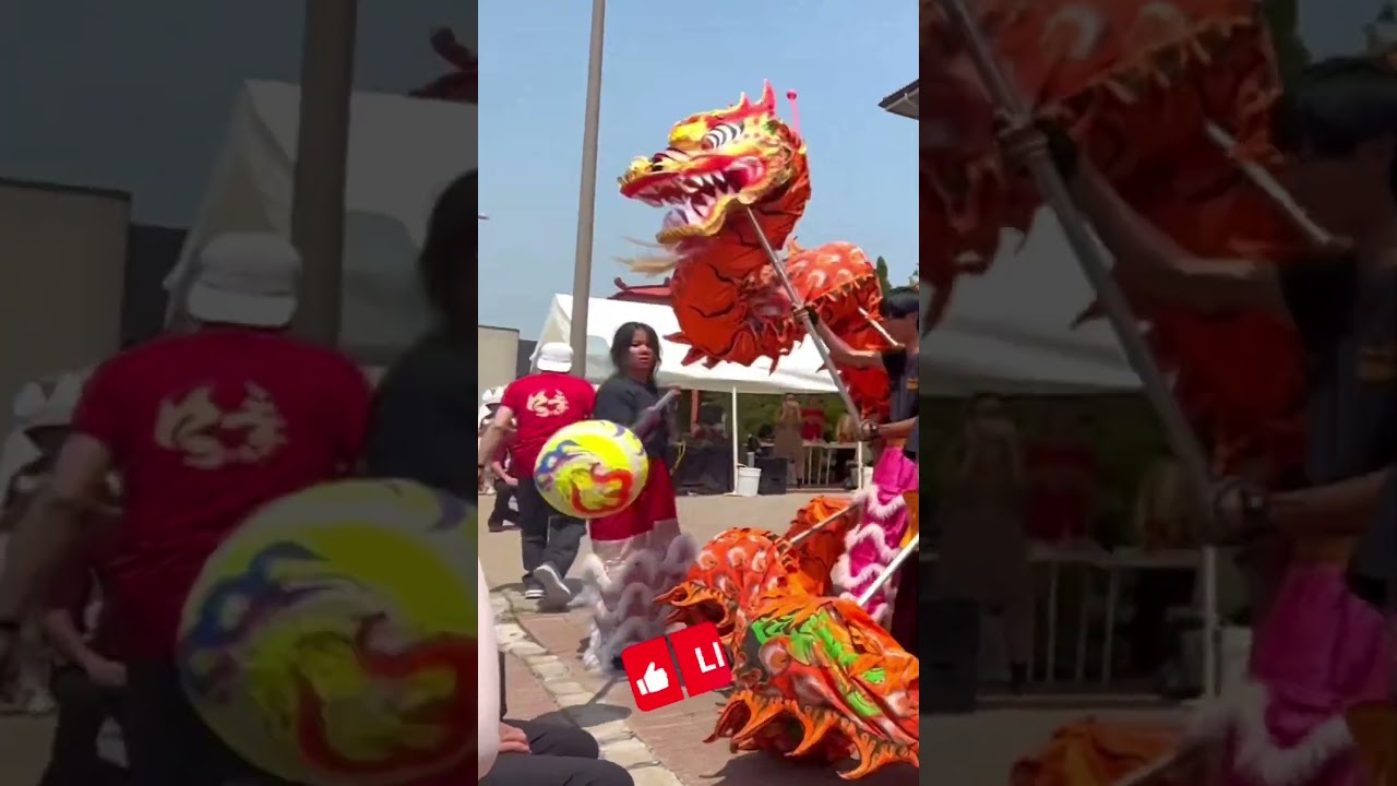 🐲🐉Dragon Dance #shorts #shortsfeed #dragon #dance #viral