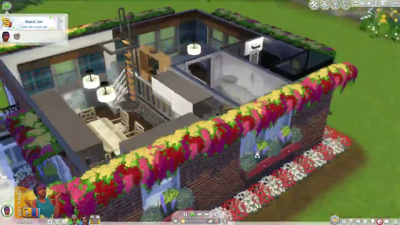 the sims