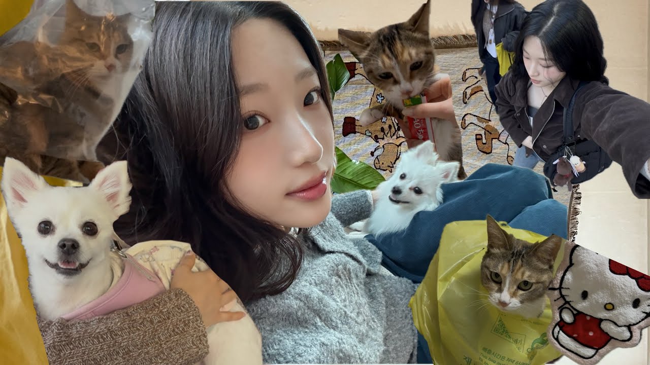 걸즈토크(에겐, 테토에 대하여) 근데 조롱을 곁들인