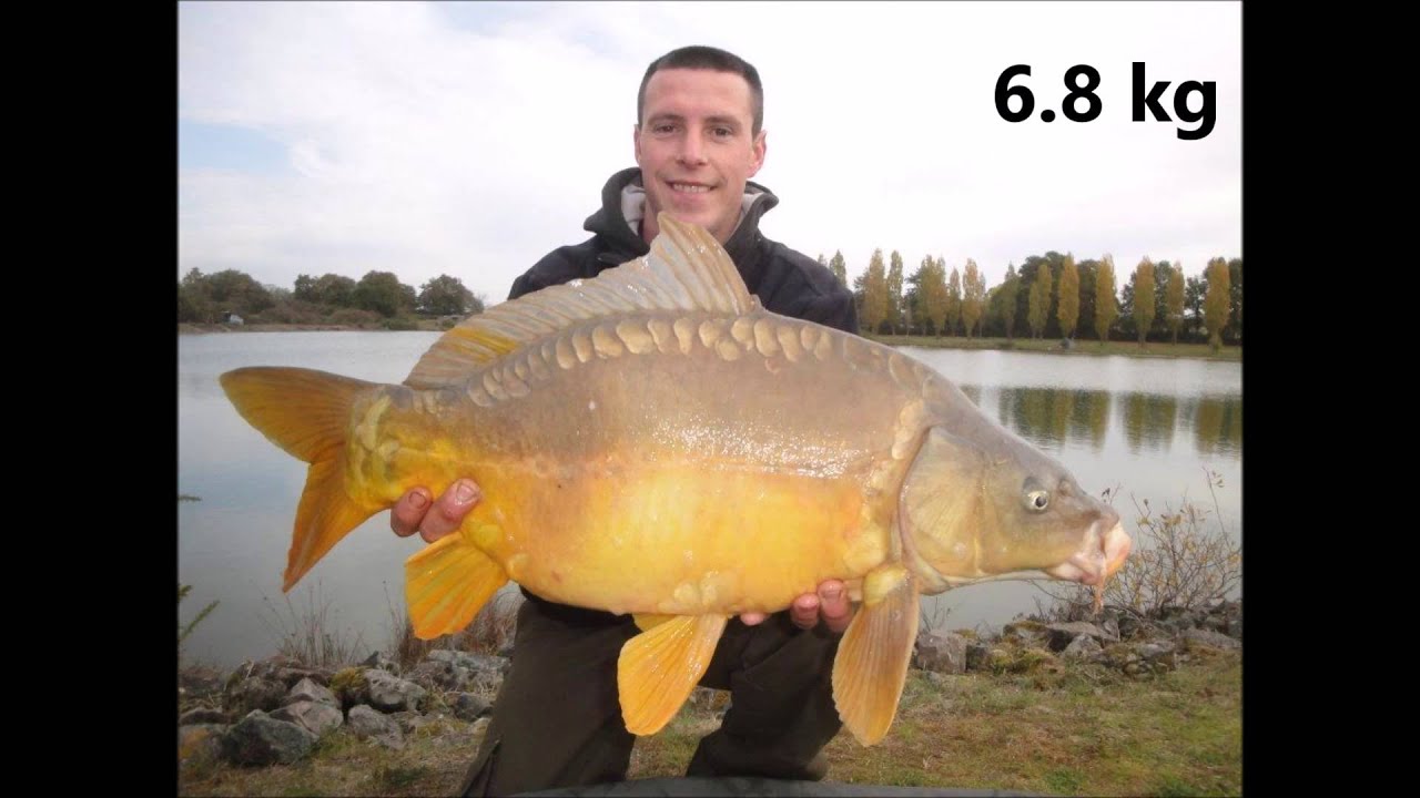 carpe 79 bressuire etang bel air