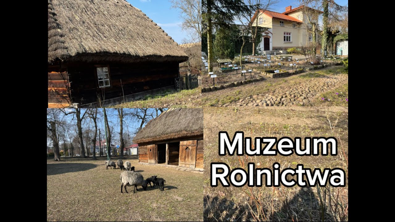 Wycieczka do Muzeum im. ks. Krzysztofa Kluka w Ciechanowcu.