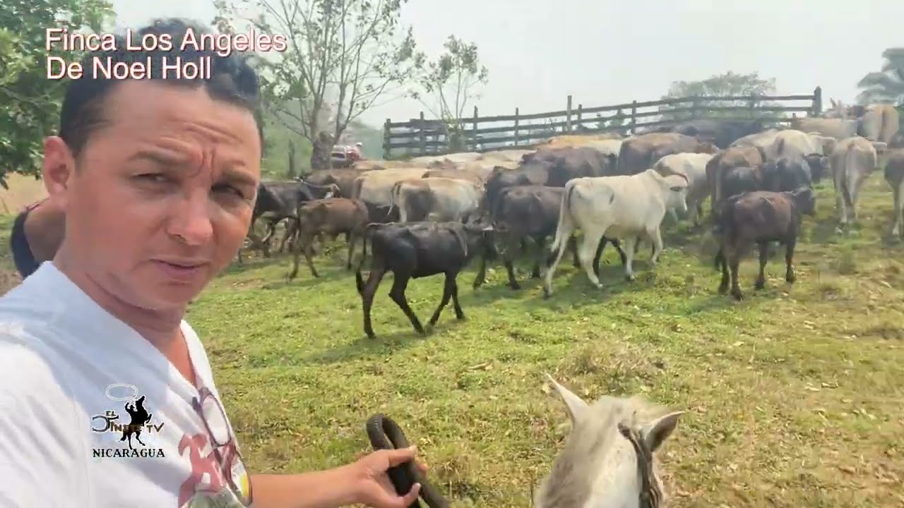 Desde #jinotega a #RIO Blanco a La Finca de el amigo Noel Holl #nicaragua #viral