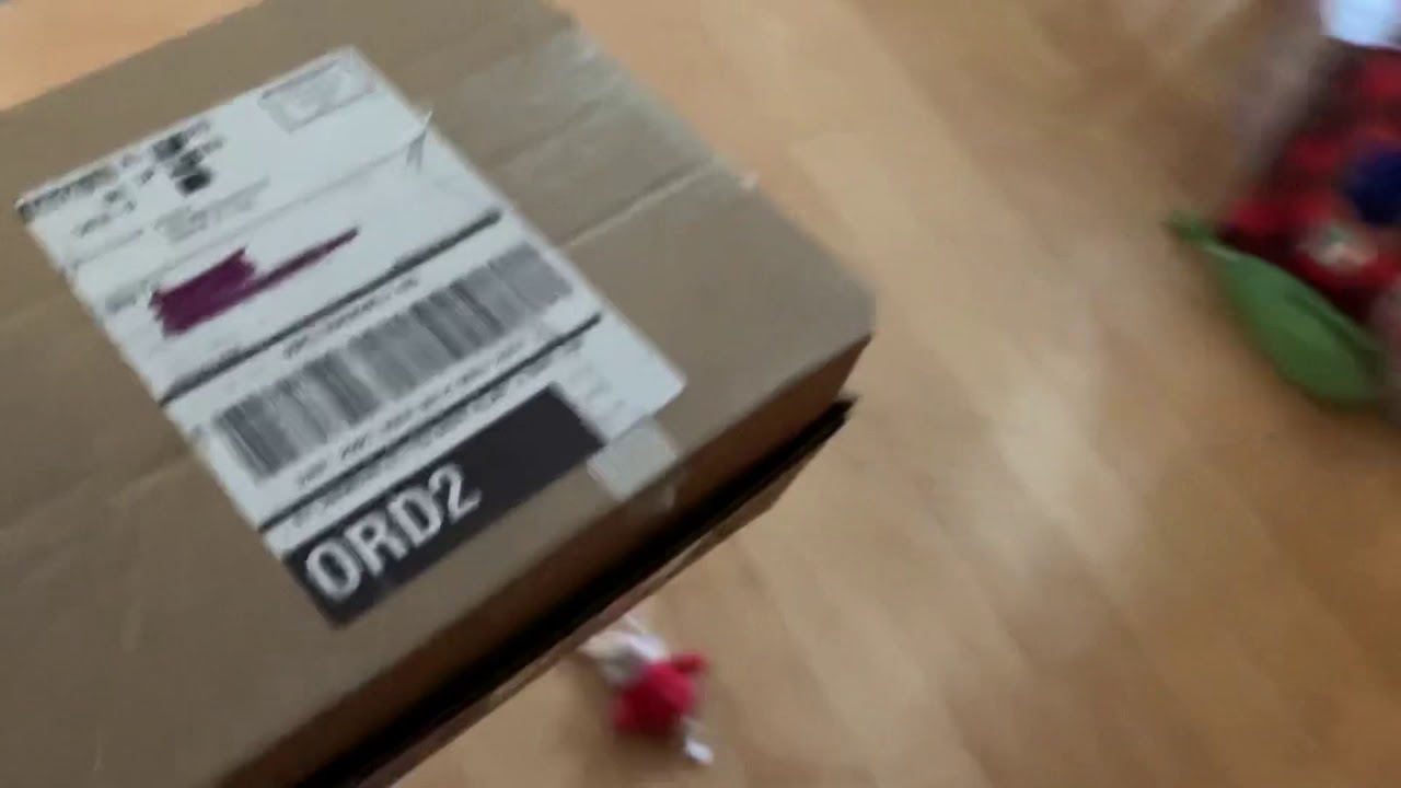 BarkBox Unboxing December 2020 (Peanuts themed)