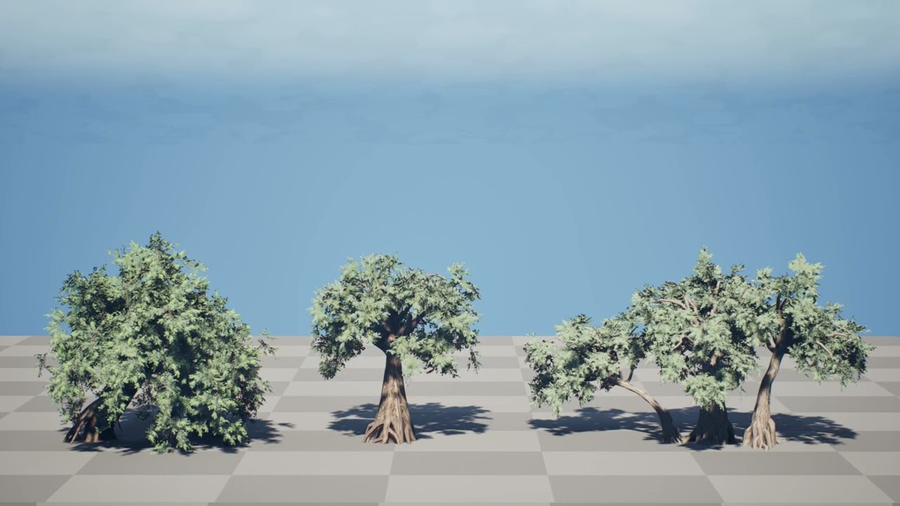 Ancient Arabian Olive Tree Collection 3d animation with unreal engine