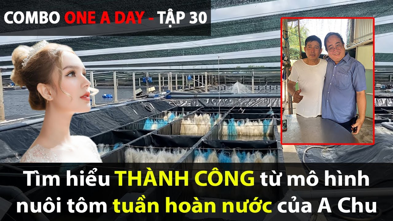 Tìm hiểu thành công từ mô hình nuôi tôm TUẦN HOÀN NƯỚC (RAS) [TẬP 30]
