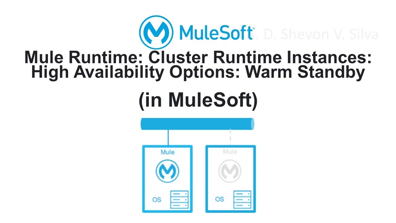 Mule Runtime: Cluster Runtime Instances: High Availability Options: Warm Standby (in MuleSoft)