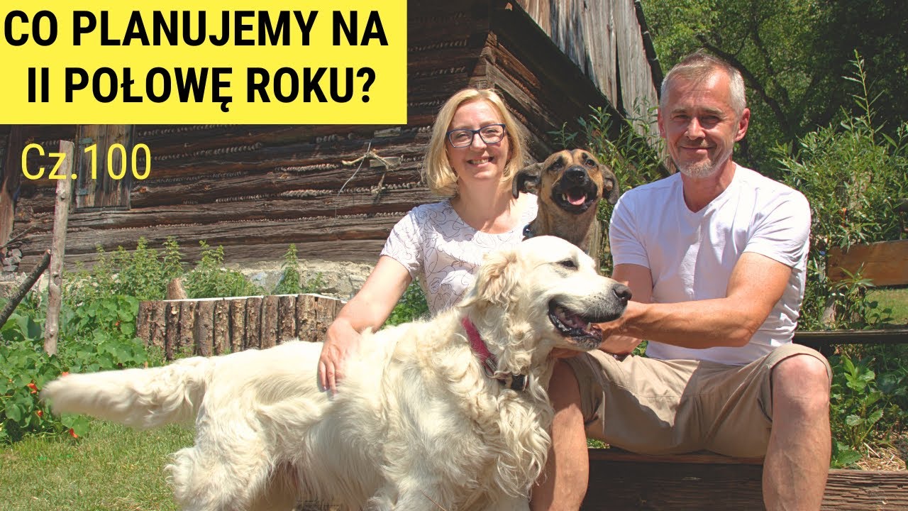 Buduję grządki podwyższone. Co dalej z remontem drewnianego domu z bali? Siedlisko Damdyla cz.100