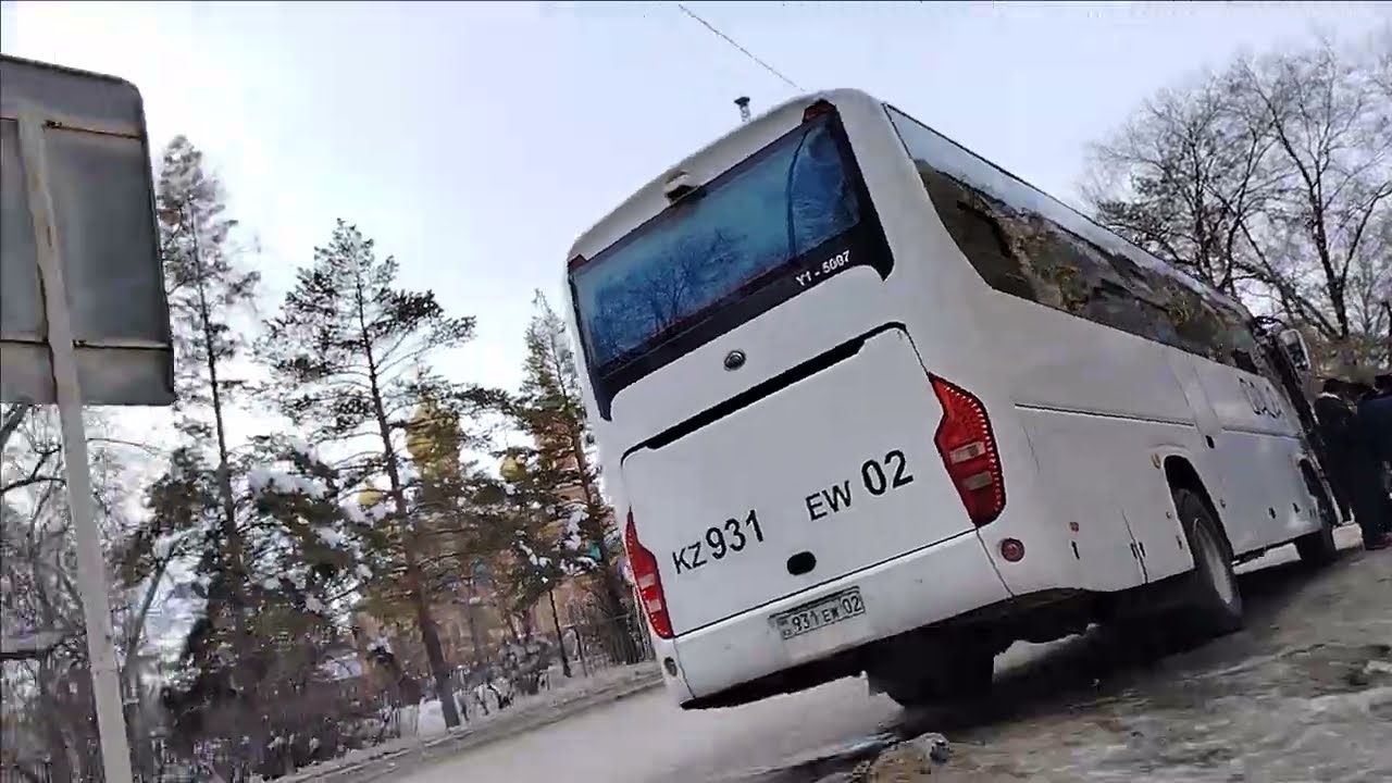 Zapallar Toshkent ❤ Yunusobod tumanida 