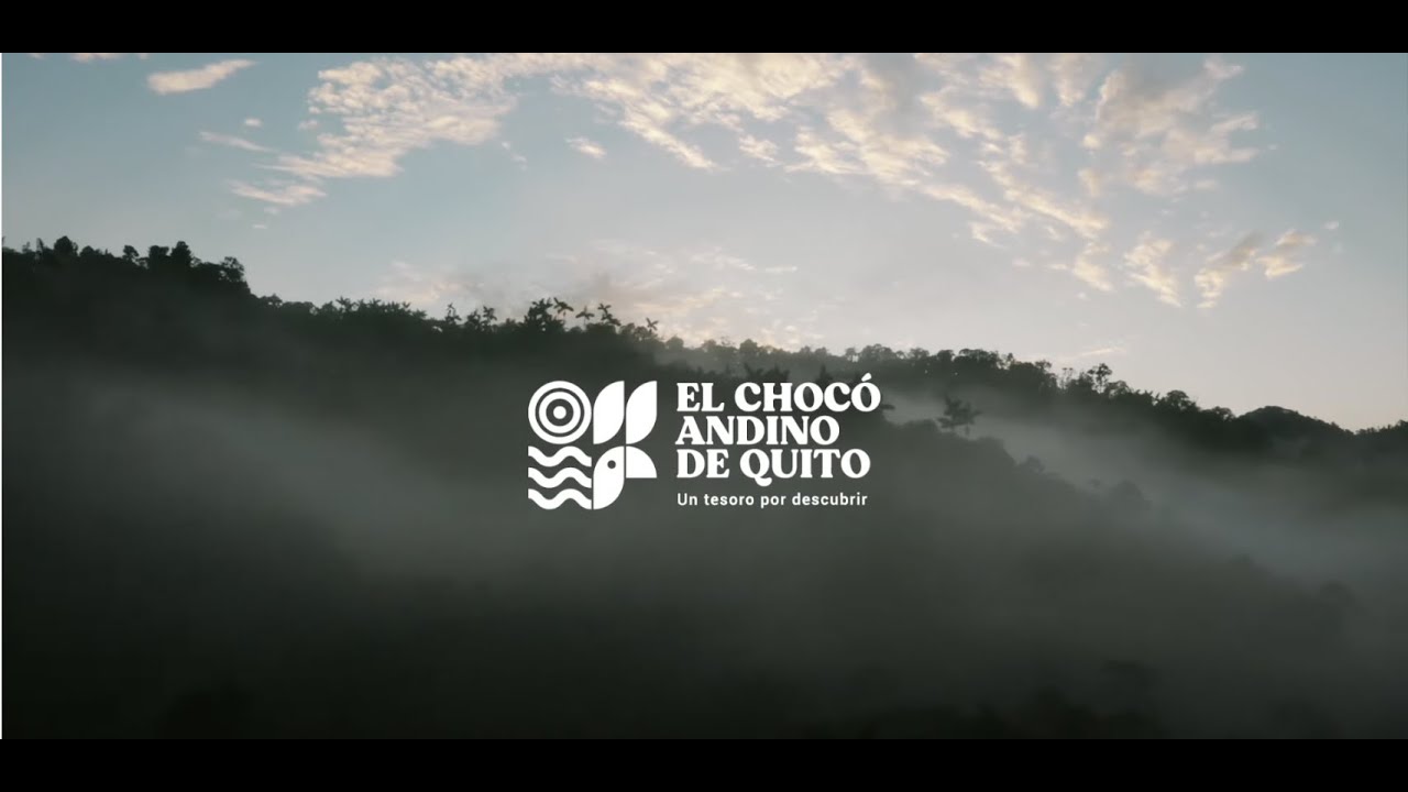 El Chocó Andino de Quito, un tesoro por descubrir
