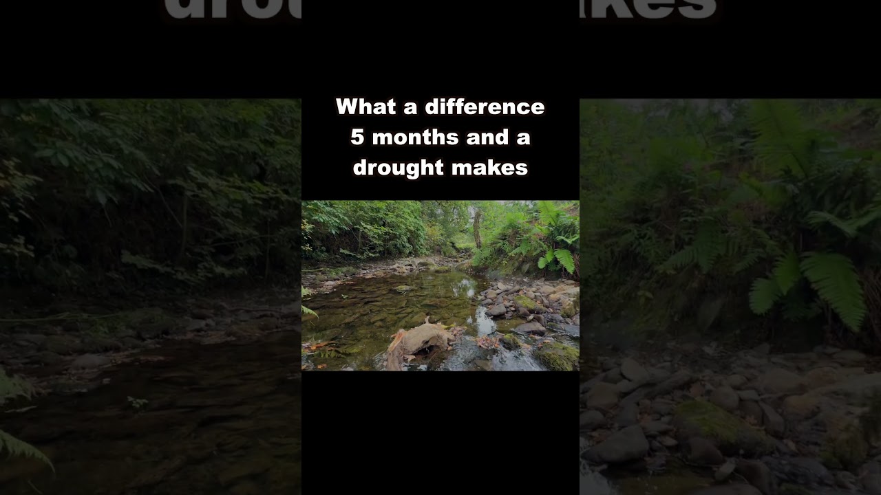Storm V Drought - River Addition #drought #river #water #heatwave #storm #flood