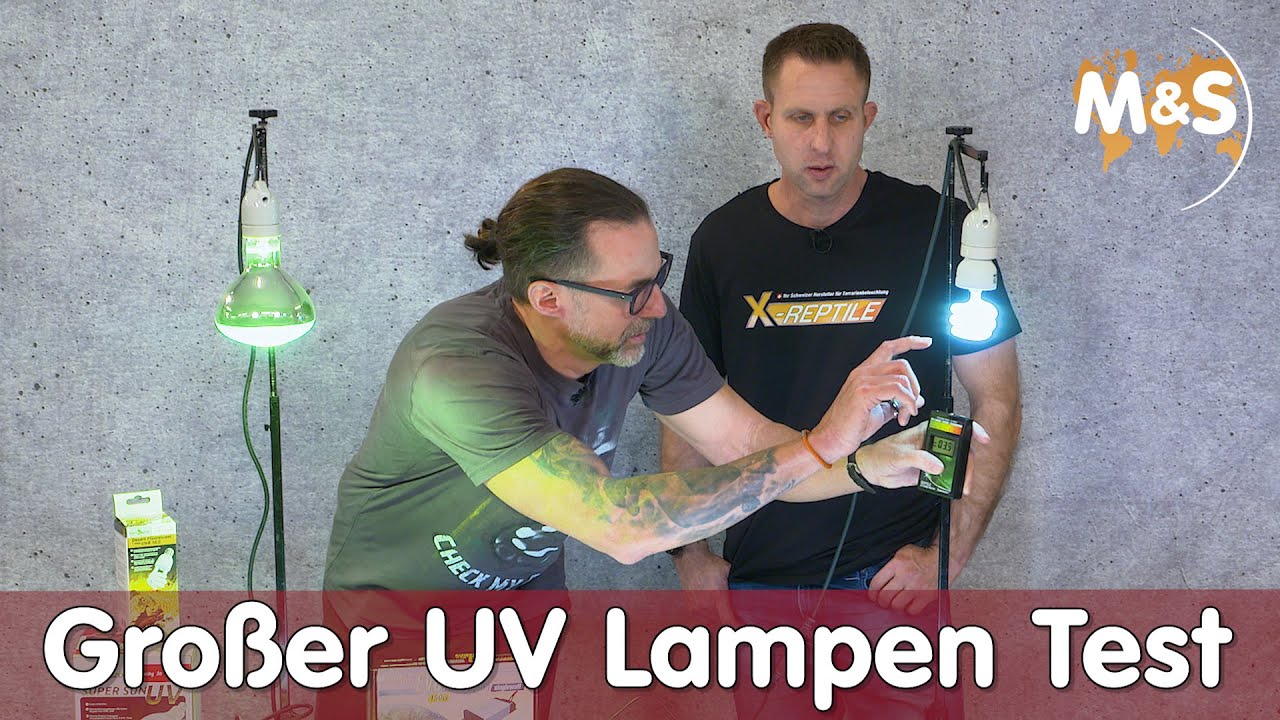 Günstig vs. Teuer, lohnt sich das? | Der große UV Lampen Test bei Reptil TV | Teil 1