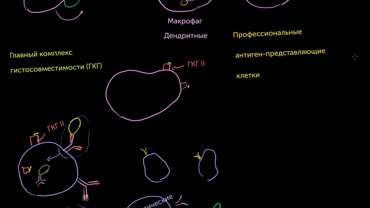 Т-хелперы