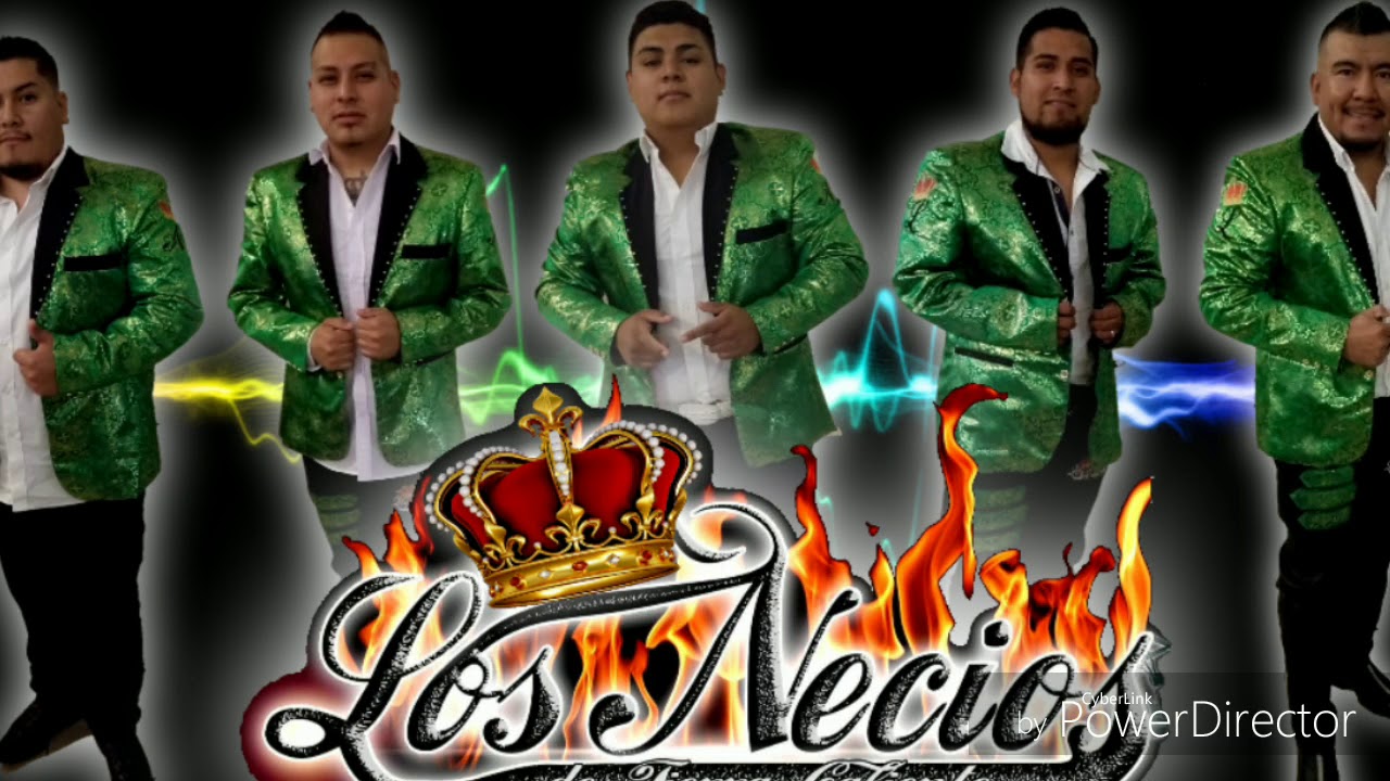 Cusinela, La Matraca - Los Necios De Tierra Caliente (2019)