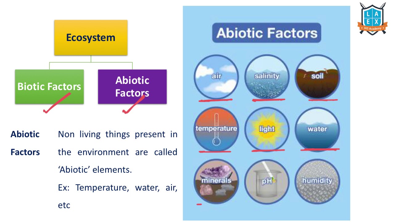 What are the Abiotic Factors of  Ecosystem? || Abiotic Factors అంటే ఏమిటి? || La Excellence