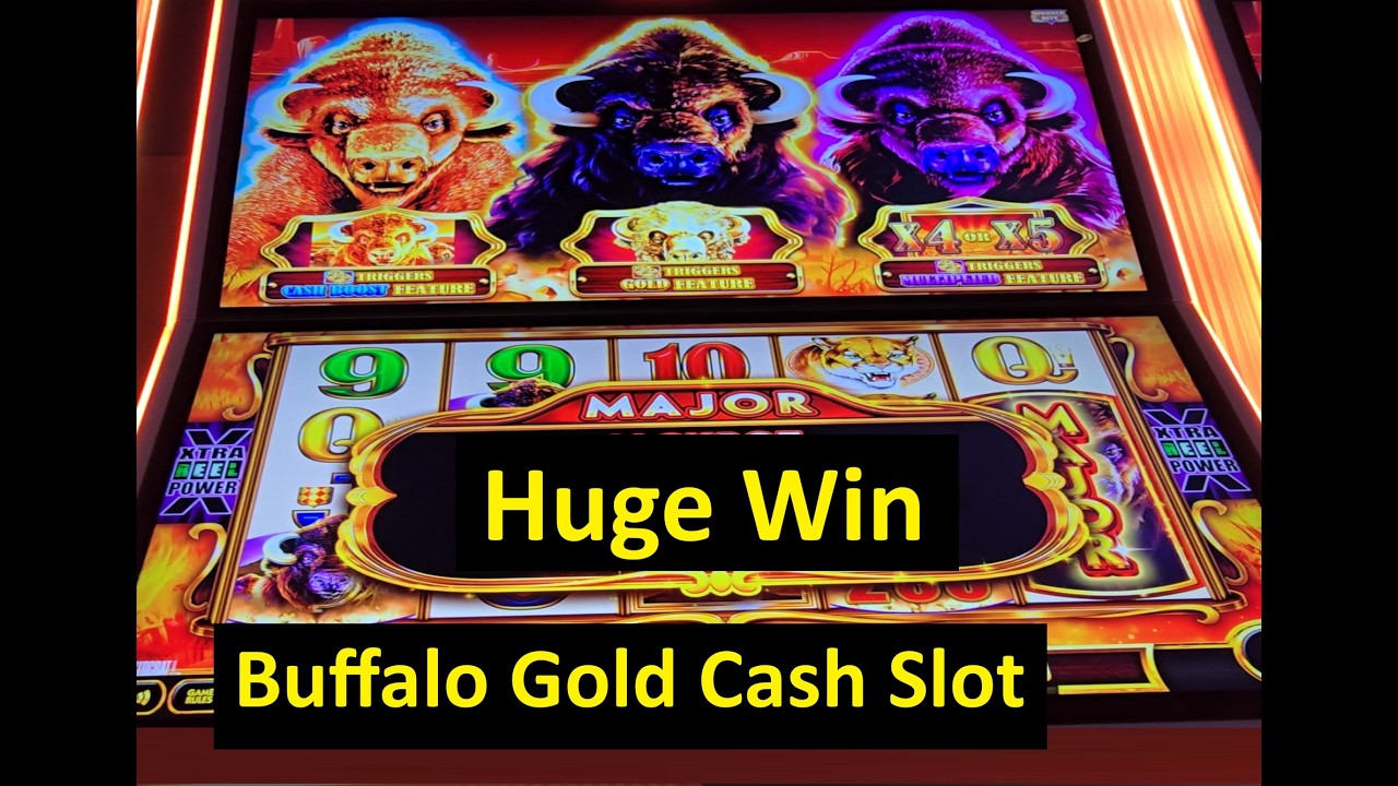 Huge Win on Buffalo Gold Cash Slot! Aristocrat Game