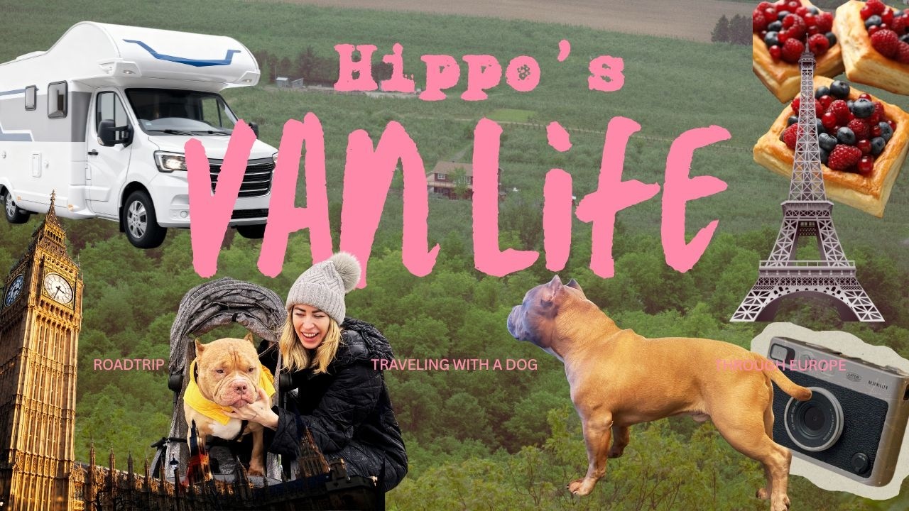 dog roadtrip through Europe (FOR HIPPO!)