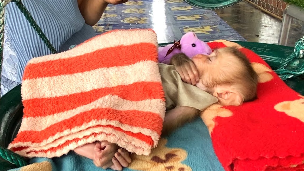 Sleepy!! Little LIORA sleeps in a hammock with her doll after waiting for mom to clean the house