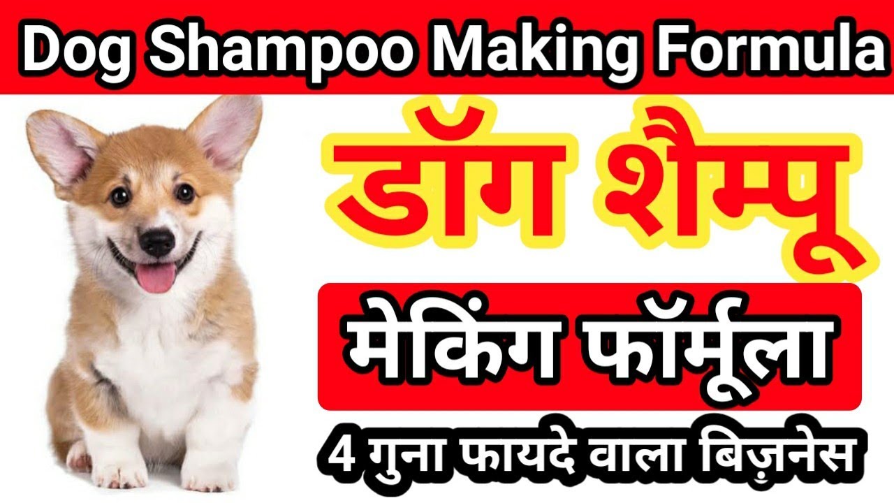 Dog Shampoo Making Formula | डॉग शैम्पू मेकिंग फॉर्मूला | Dog Shampoo | Dog Soap